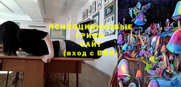 PSILOCYBIN Алексин