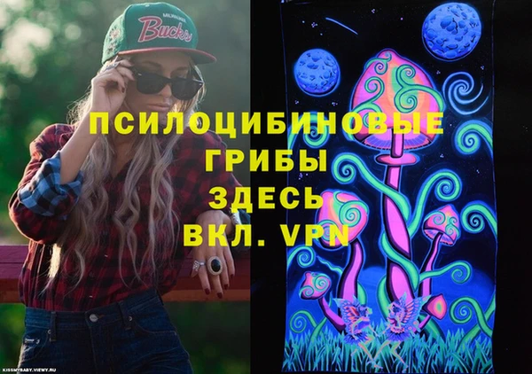 PSILOCYBIN Алексин