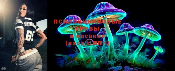 прущая мука Алзамай