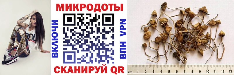 купить наркотики сайты  Дивногорск  Псилоцибиновые грибы прущие грибы 